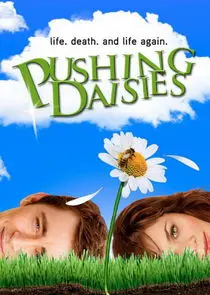 Pushing Daisies